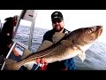 HAVSFISKE i ÖRESUND - Sommar, torsk, plattfisk & makrill