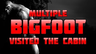 MULTIPLE SASQUATCH VISITED THE CABIN ALL SUMMER LONG! True Bigfoot Encounter Stories
