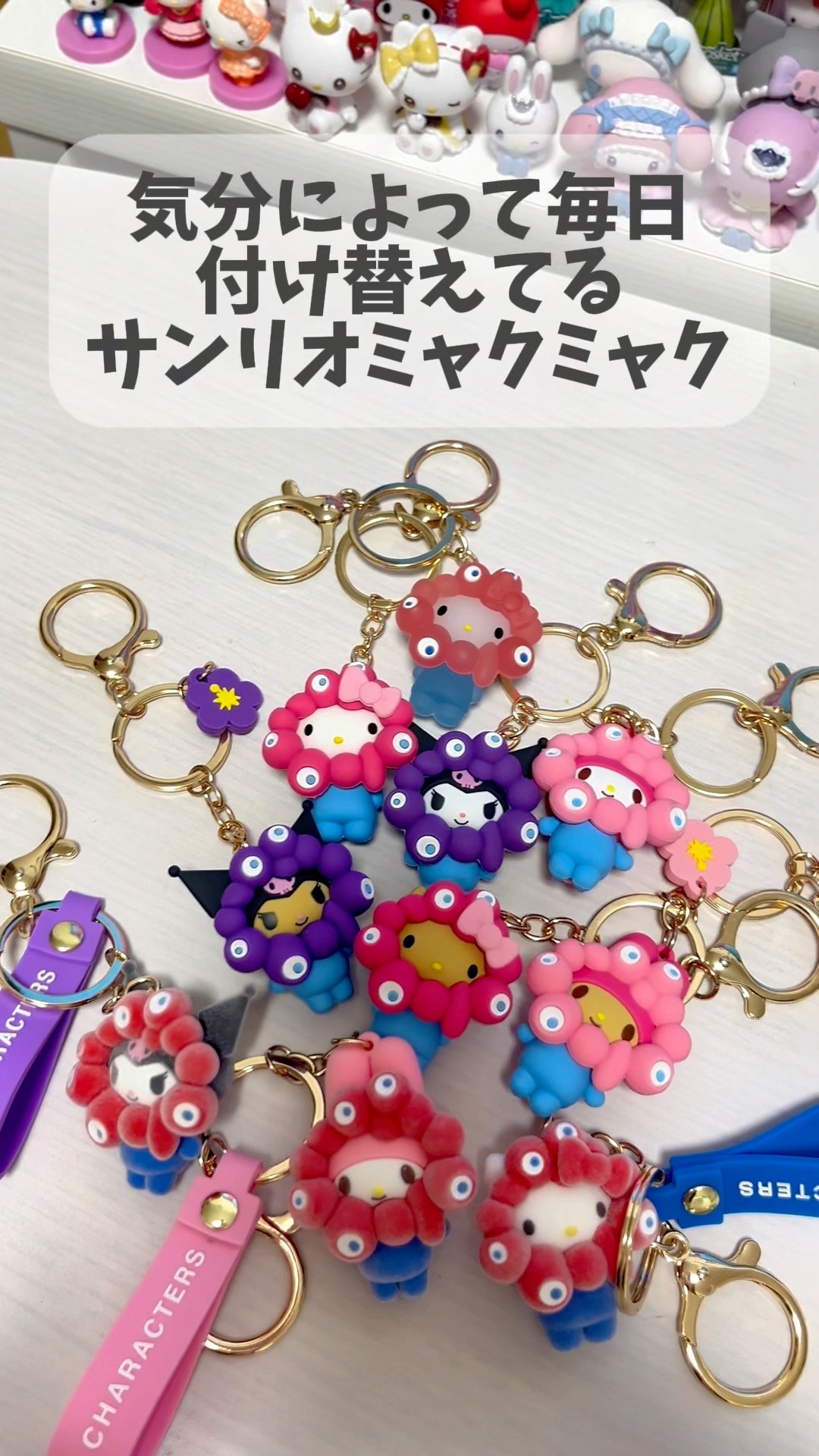 New Arrival] I Bought the Sun-Kissed Sanrio Myaku-Myaku Keychains
