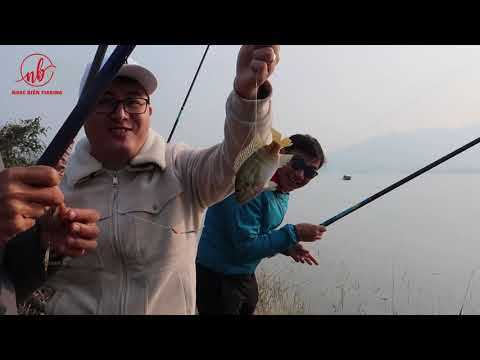 Chuyến đi du câu Hồ Thác Bà nhiều ý nghĩa - Đi tìm câu cá Hoàng Đế - Ngọc Biển Fishing