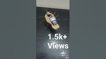 How to make a robot spider make it home #shorts #experiment #trending #ytshorts