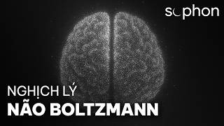 Nghịch Lý Não Boltzmann: Bạn Có Phải Là Một Ảo Ảnh?