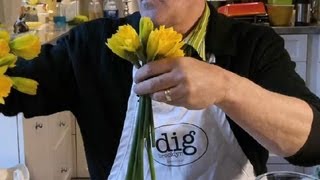 How to Decorate With Daffodils : Tulips, Daffodils & More