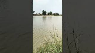 kangsabati river Short video#short status#youtube shorts#video#india