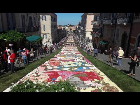 Video: Çiçək Rəsm: Infiorata Festivalı