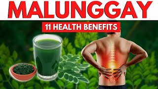 11 Benepisyo Ng Malunggay Health Benefits Of Malunggay