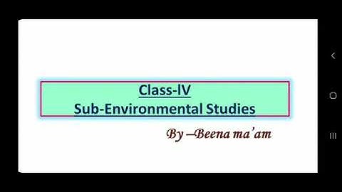 CBSE Class 4 Environmental study online class| Chapter 13 Birds| Part 2 | In Hindi and English