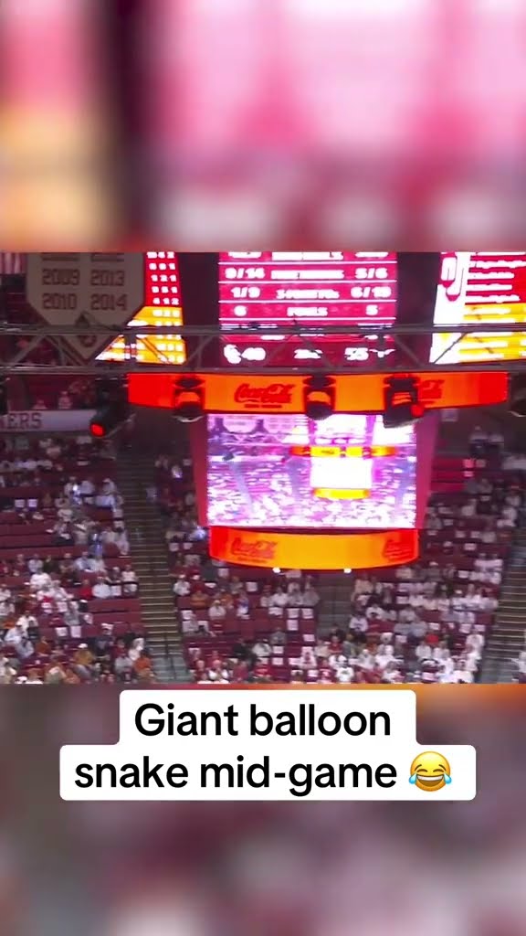 This looks like too much fun ?
