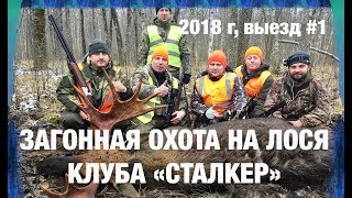 ЗАГОННАЯ ОХОТА НА ЛОСЯ КЛУБА «СТАЛКЕР». Выезд №1 ЗАГОННАЯ ОХОТА НА ЛОСЯ КЛУБА «СТАЛКЕР». Выезд №1