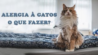 ALERGIA À GATOS, O QUE FAZER?