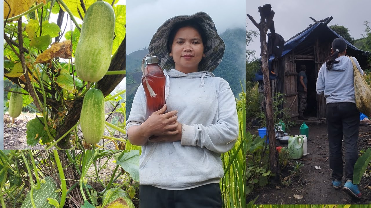 Joulang a ipi2 katu uham anave ute 🥒🌽🫑🥬