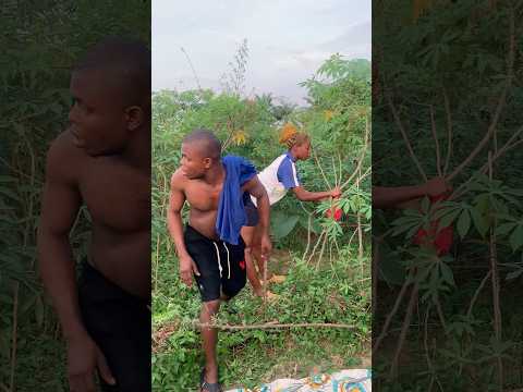 Amapiano Deephouse Music Housemusic Dance Amapianotv