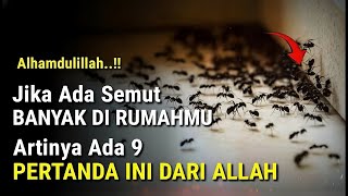 Jika Banyak Semut di Rumahmu, Berarti Ada 9 Pertanda Ini dari Allah yang Harus Kamu Ketahui