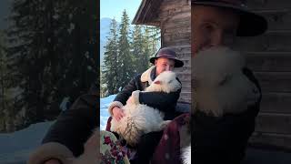 A Taste of Authentic Poland || #shorts #travel #travelvlog #tour #destination #explore