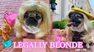 Legally Blonde - Doug The Pug