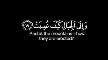 كرومات شاشه سوداء قرآن كريم أفلا ينظرون إلى الإبل كيف خلقت