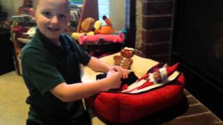 Celebrity Christmas puppy.... Net Worth