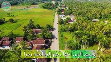 تلاوة خاشعة من آيات الذكر الحكيم ( وَسِيقَ الَّذِينَ اتَّقَوْا رَبَّهُمْ إِلَى الْجَنَّةِ زُمَراً )