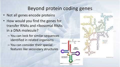 Genome annotation and inferring function