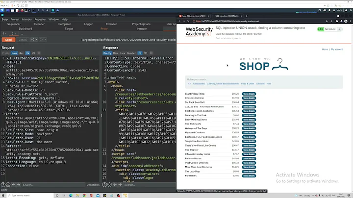 SQL injection UNION attack, finding a column containing text - VIDEO SOLUTION (PORTSWIGGER)
