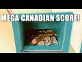 Canadian Coinstar Mega Score! Huge Pile Of Free Collectable Coins!