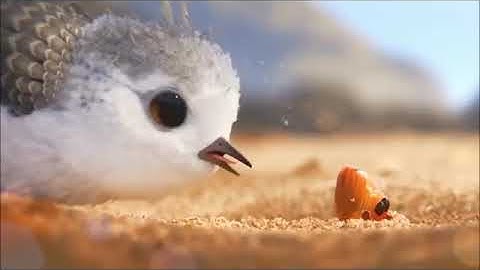 Video 2021 04 28 at 3 52 46 AM