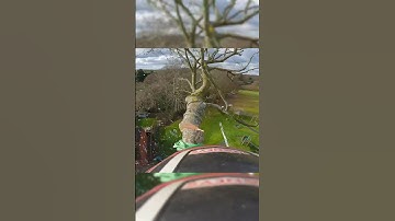 Beech rigging, avoiding it destroying into a million pieces. #rigging #arbortec #arbortec #treework