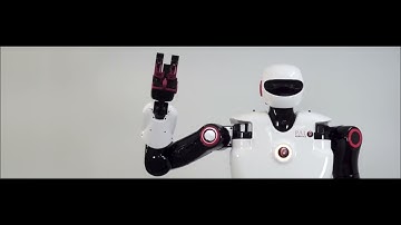 PAL Robotics | In a nutshell