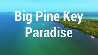 🦜  Escape to Paradise: Big Pine Key and Little Torch in the Florida Keys Await! 🌴