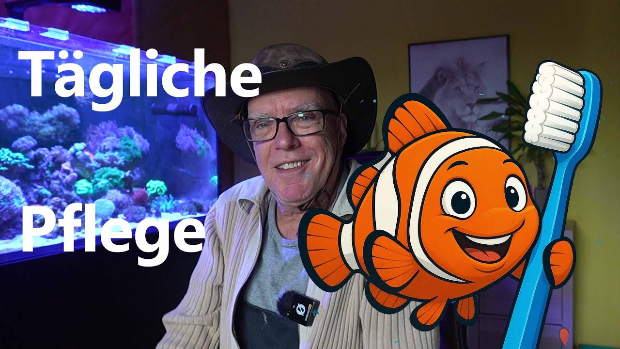 Red Sea Aquarium Pflege leicht gemacht