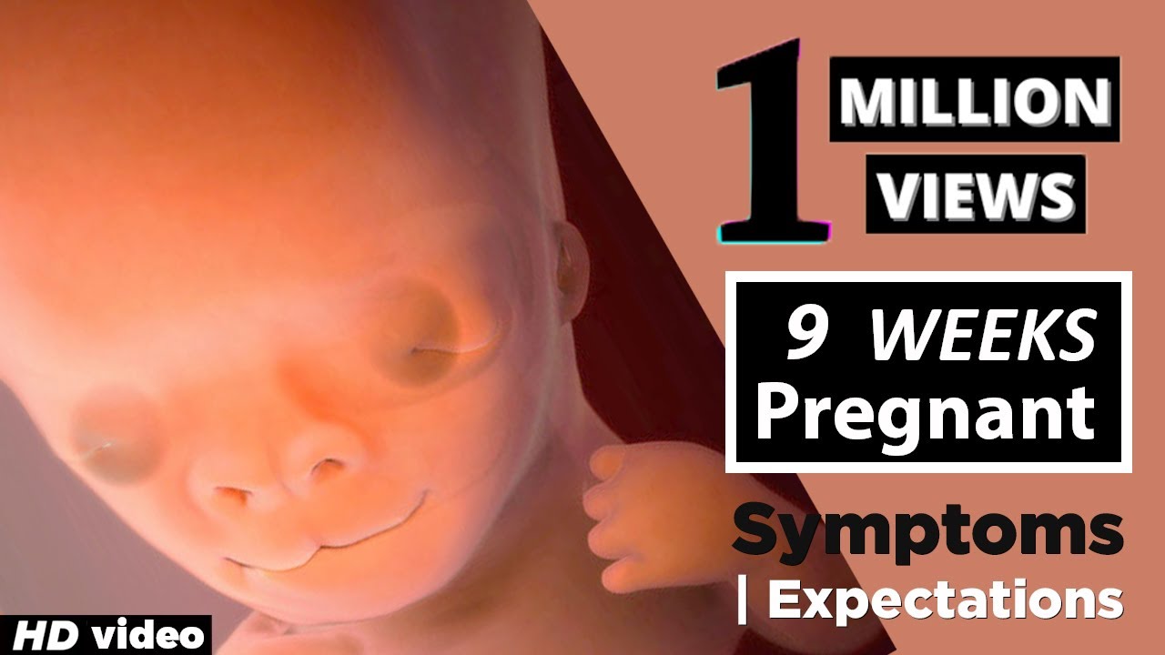 9-weeks-pregnant-baby-position-health-care-tips-for-pregnant-woman-youtube