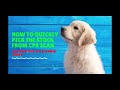 CPR Scanner for ThinkorSwim | Picking the Right Down Trending USA Stock | CPR Trading Strategy