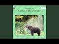 Chapter 1 - Toomai of the Elephants