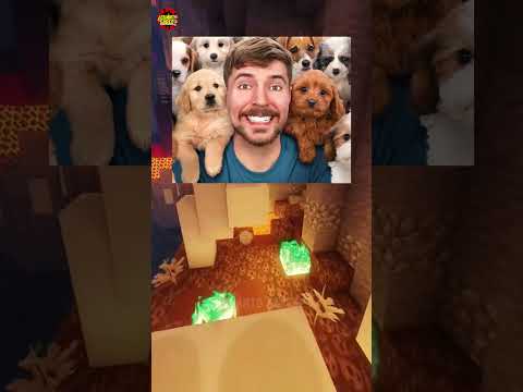 El YouTuber más