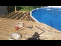 Backyard Pool & Deck Makeover 2016 - 1080p