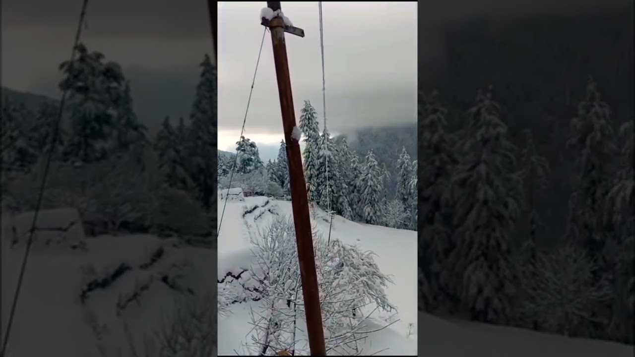 #بسم_الله_الرحمن_الرحيم