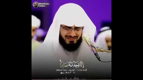 القارئ المبدع رعد الكردي سورة ص مقطع قصير