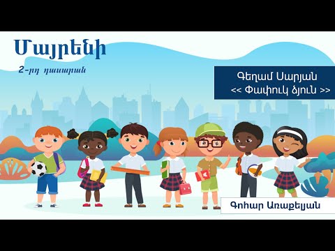 Video: Արդյո՞ք ձյուն մաքրողներն ուղիղ գազ են ընդունում: