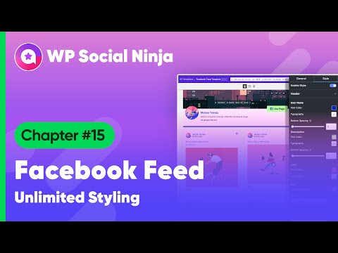 How To Style Your Facebook Feed Like a Pro | WP Social Ninja