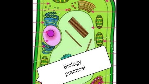 SSC candidate 2021,Sub:Biology prac.1 ,Part:1,Shayla Parvin & Taslima Akter Kona