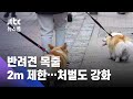 반려견 목줄 2m 제한…어기면 최대 50만 원 과태료 / JTBC 뉴스룸