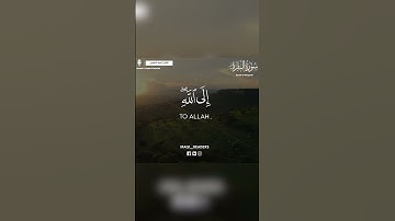 مقام اللامي العراقي | القارئ نجم النعيمي