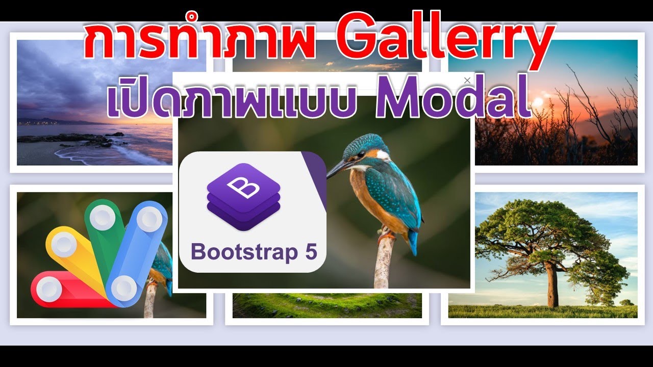 เว็บแอป การทำ Image Gallery แบบ Modal ด้วย Bootstrap 5