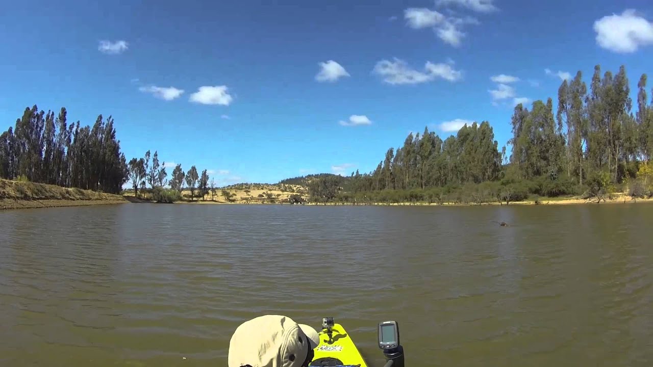 Watersnake T18 SW, motor para Kayak - YouTube