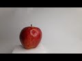 Что можно увидеть в красном яблоке под микроскопом?!
