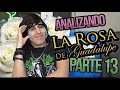 Analizando a LA R0SA DE GUADALUPE! (Parte 13)