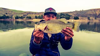 WINTER BASS FISHING (CASTAIC LAGOON)