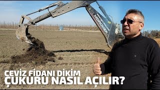 Ceviz Fidanı Dikerken Nasıl Çukur Açılır?