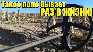 ШТАНЫ СПАДАЛИ ОТ НАХОДОК! Находкам 2000 ЛЕТ! Коп лето 2019