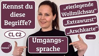 Deutsch C1, C2: Kennst du diese Begriffe aus der Umgangssprache?